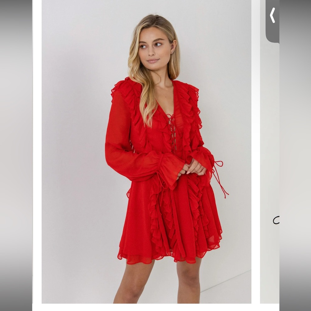 Endless rose Long-Sleeve Ruffle Mini Dress